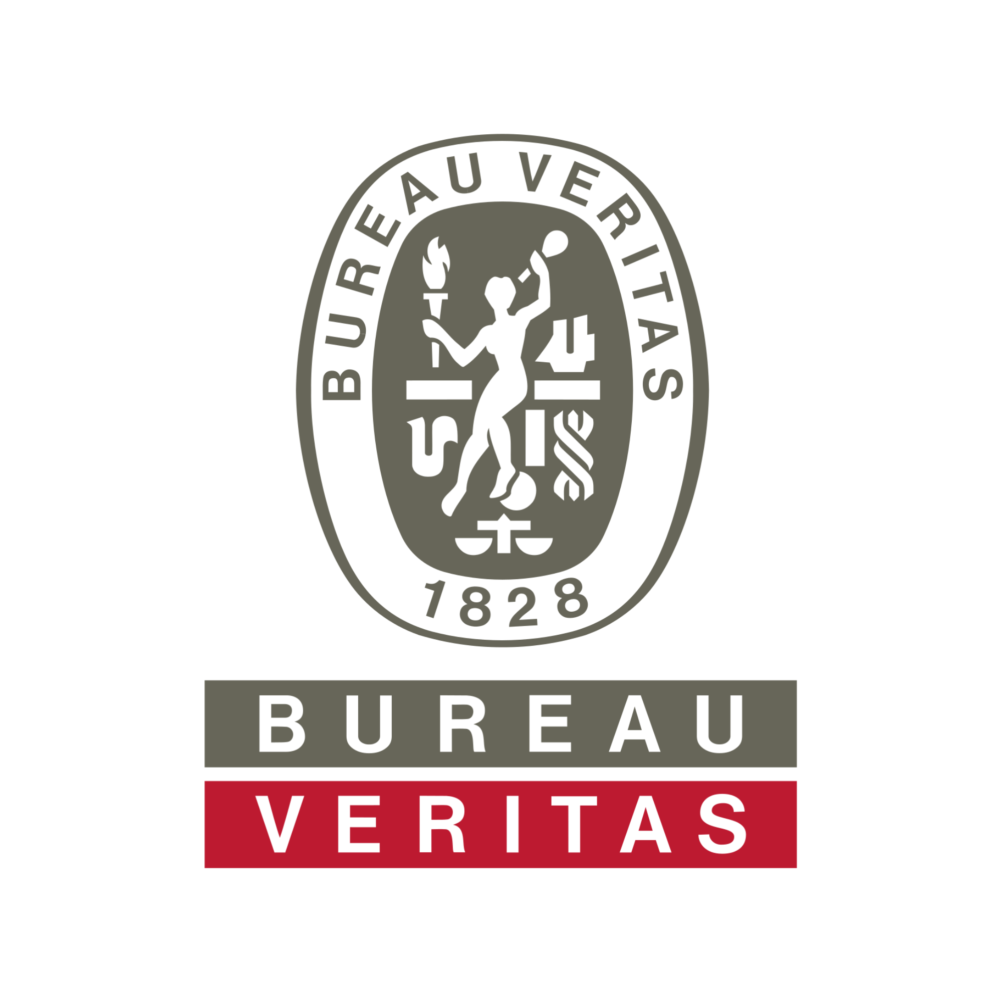 Logo Bureau Veritas